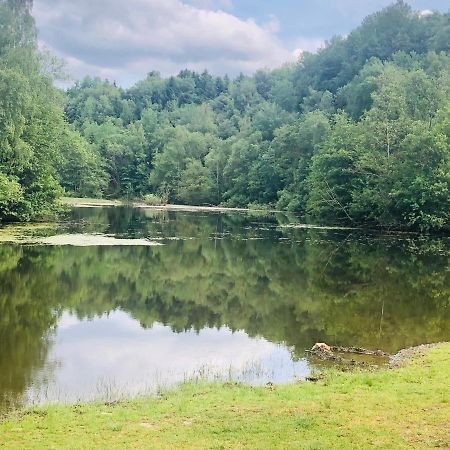 Апартаменты Gemuetliche Fewo Naehe Hachenburg, Bad Marienberg Langenbach bei Kirburg Экстерьер фото